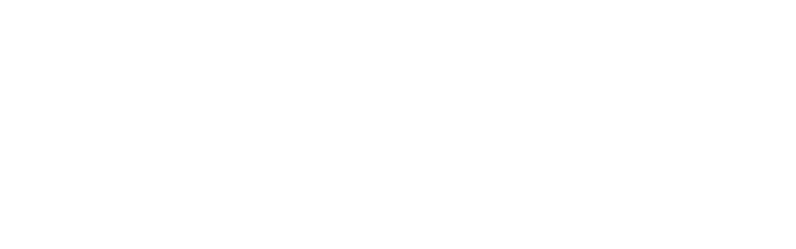 One ID